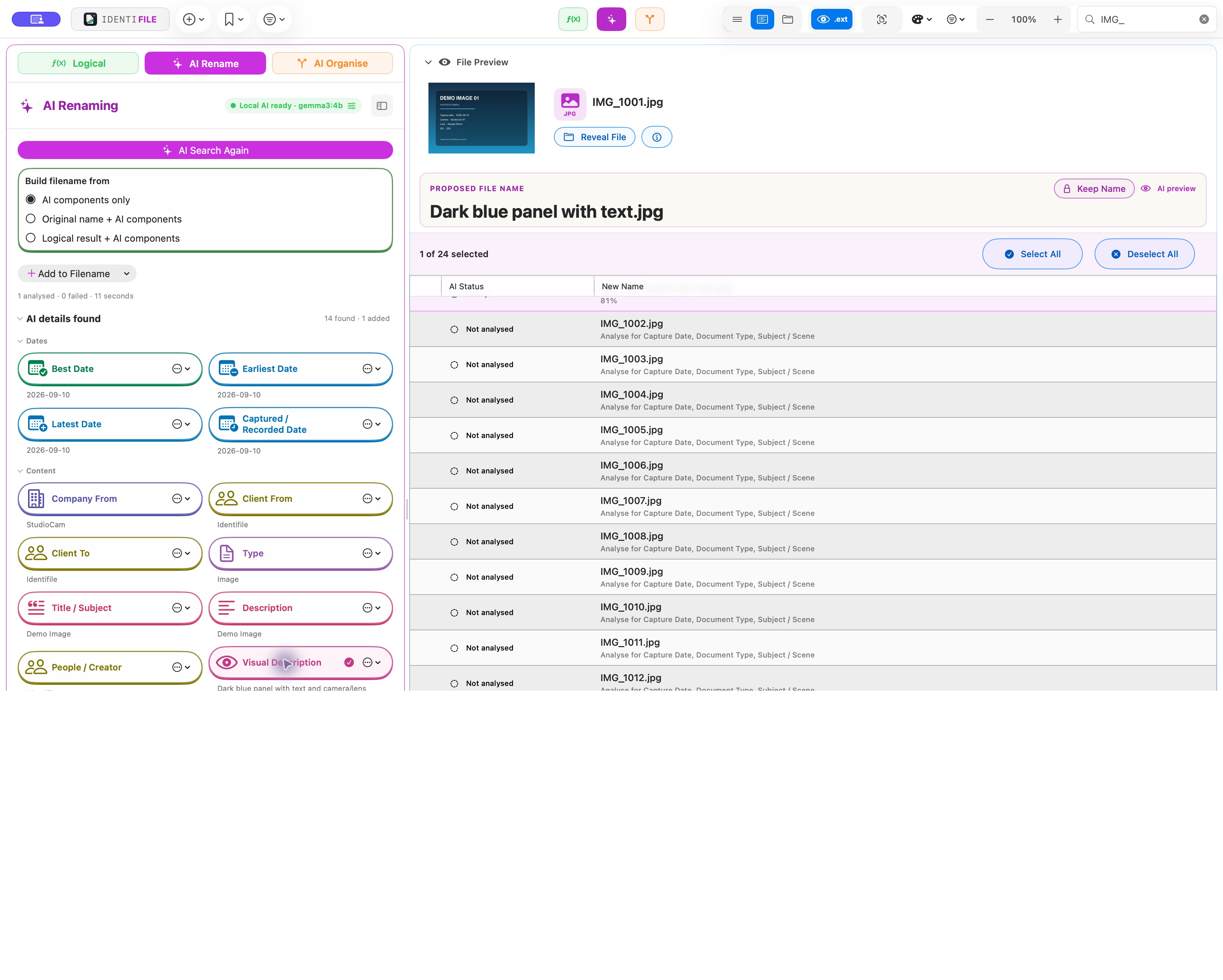 High-resolution real Identifile AI Renaming view with generic files and editable details