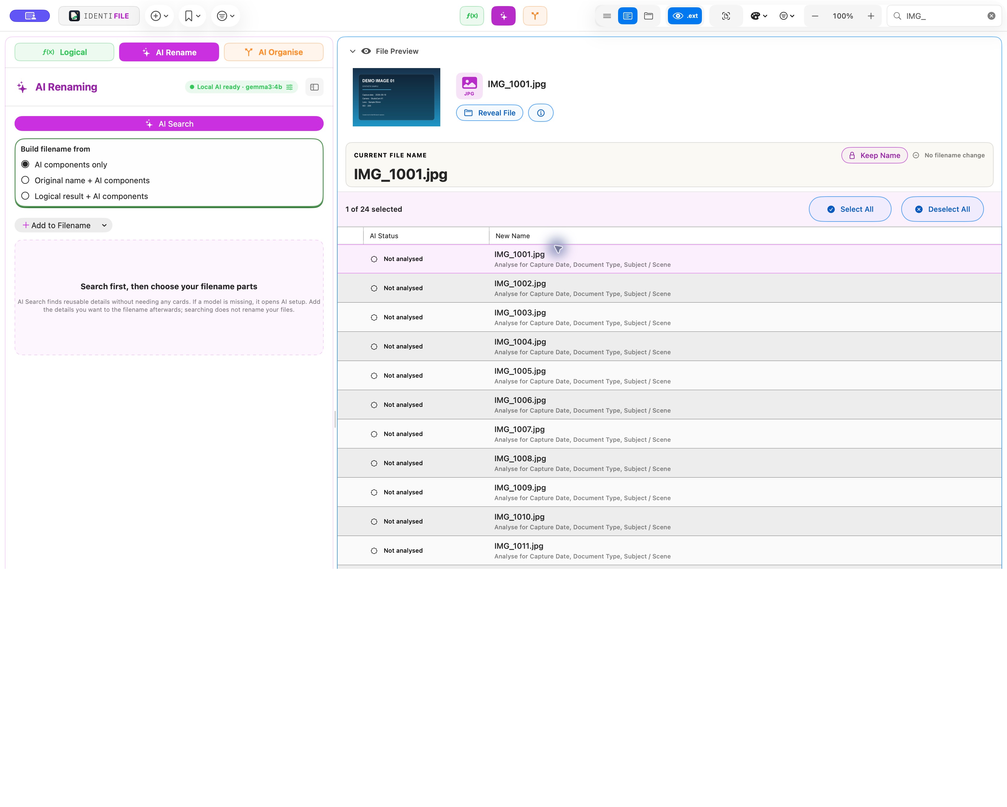 High-resolution real Identifile AI Renaming view before analysis, using generic filenames